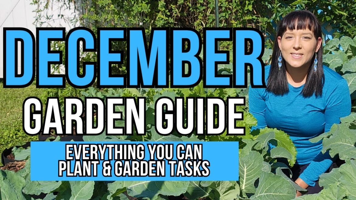 December Garden Guide – Everything You Can Plant NOW Or Start From Seed #garden #gardeningtips #grow December Garden Guide - Everything You Can Plant NOW Or Start From Seed #garden #gardeningtips #grow
