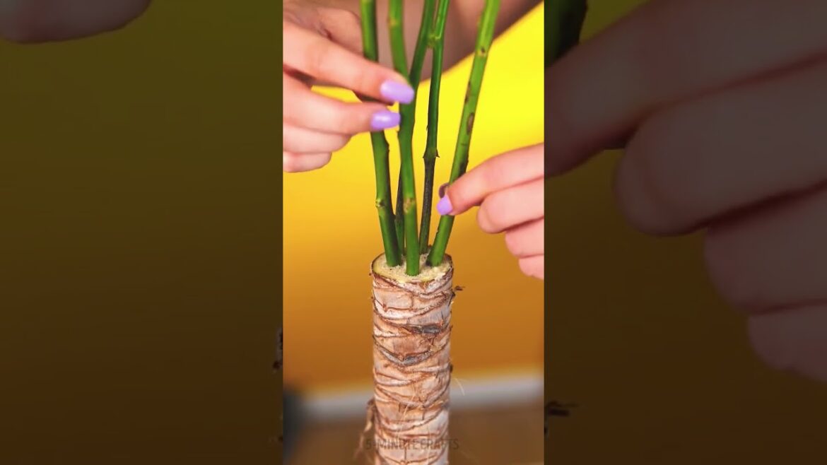 Gardening ideas/Grow Tips/Soil Care /Plant Hack/Watering#shorts#trending #viralvideo#youtubeshorts