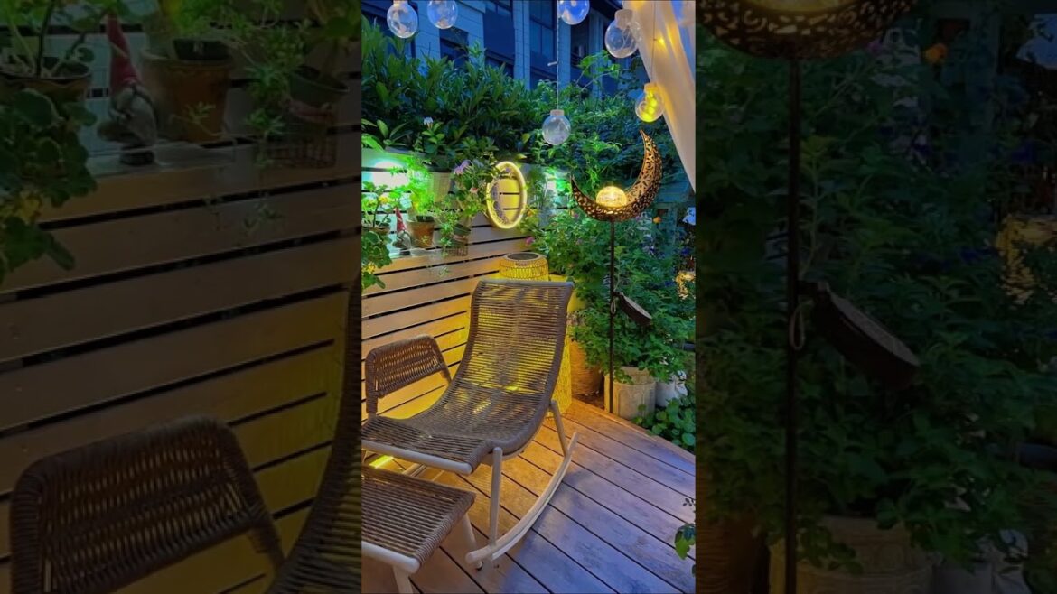 creative ideas in garden | diy garden ideas | garden ideas  #shortvideo #gardeningideas  #viral creative ideas in garden | diy garden ideas | garden ideas  #shortvideo #gardeningideas  #viral