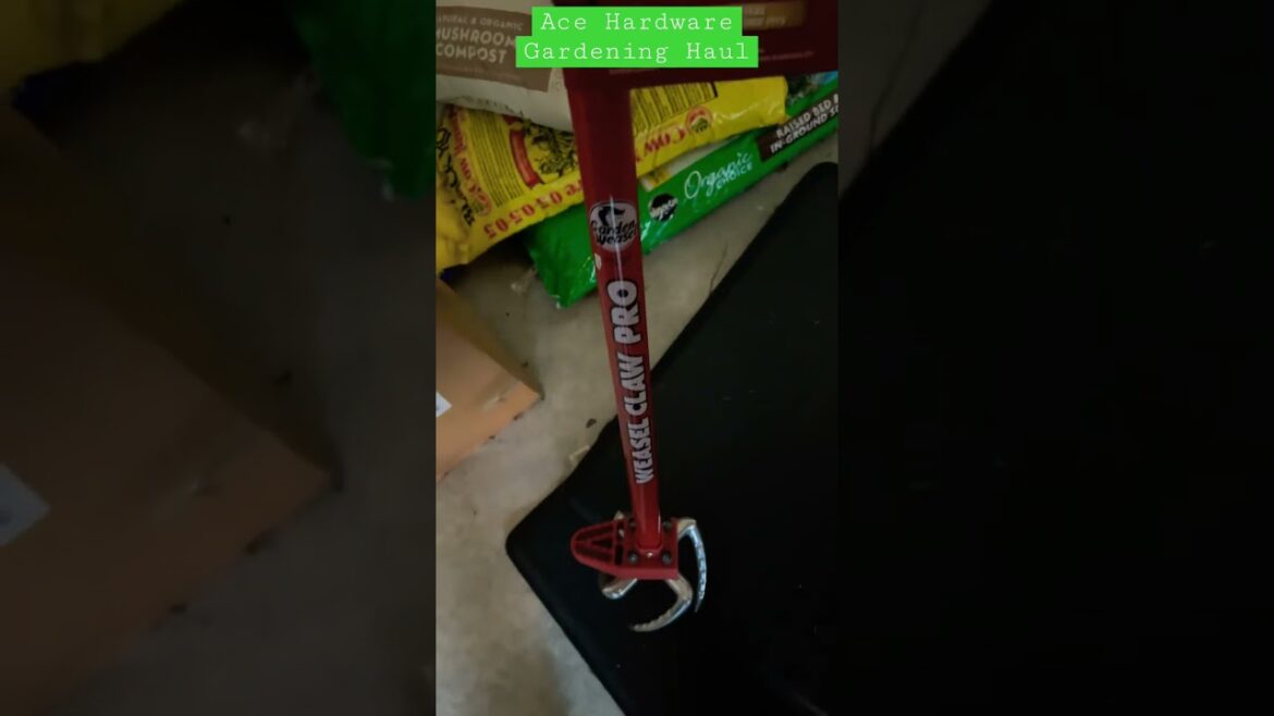 Ace Hardware Gardening Haul || Gardening || Shorts #27 || Steffanie’s Journey Ace Hardware Gardening Haul || Gardening || Shorts #27 || Steffanie’s Journey