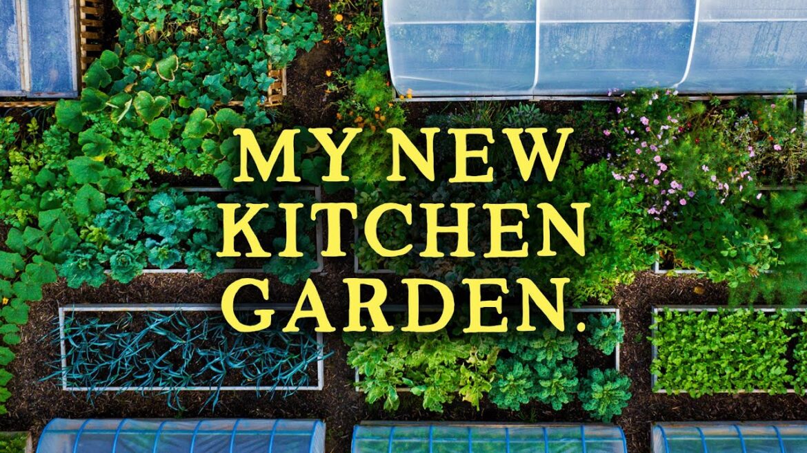 Huw Richards: The Self-Sufficiency Garden | 580kg/1300Ibs+ of Food in 10 Months The Self-Sufficiency Garden | 580kg/1300Ibs+ of Food in 10 Months