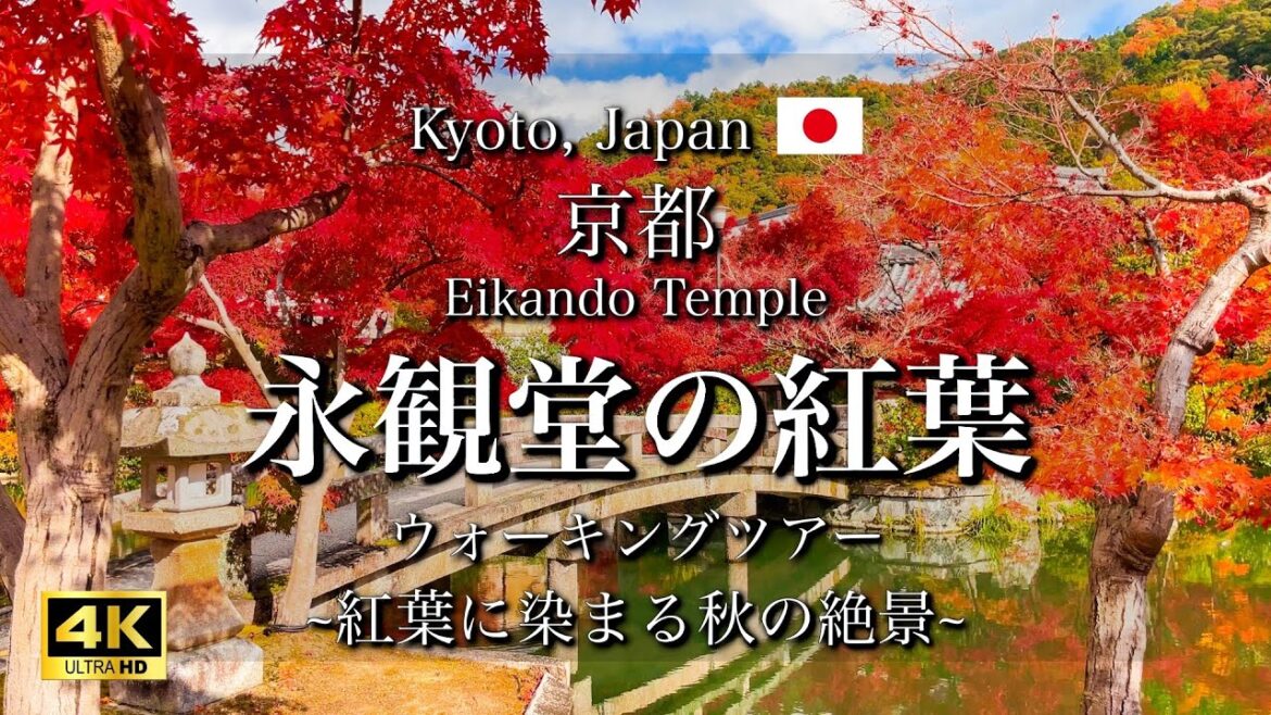 Autumn Leaves at Eikando Temple in Kyoto, Japan | Beautiful Fall Foliage and Japanese Garden [4K]