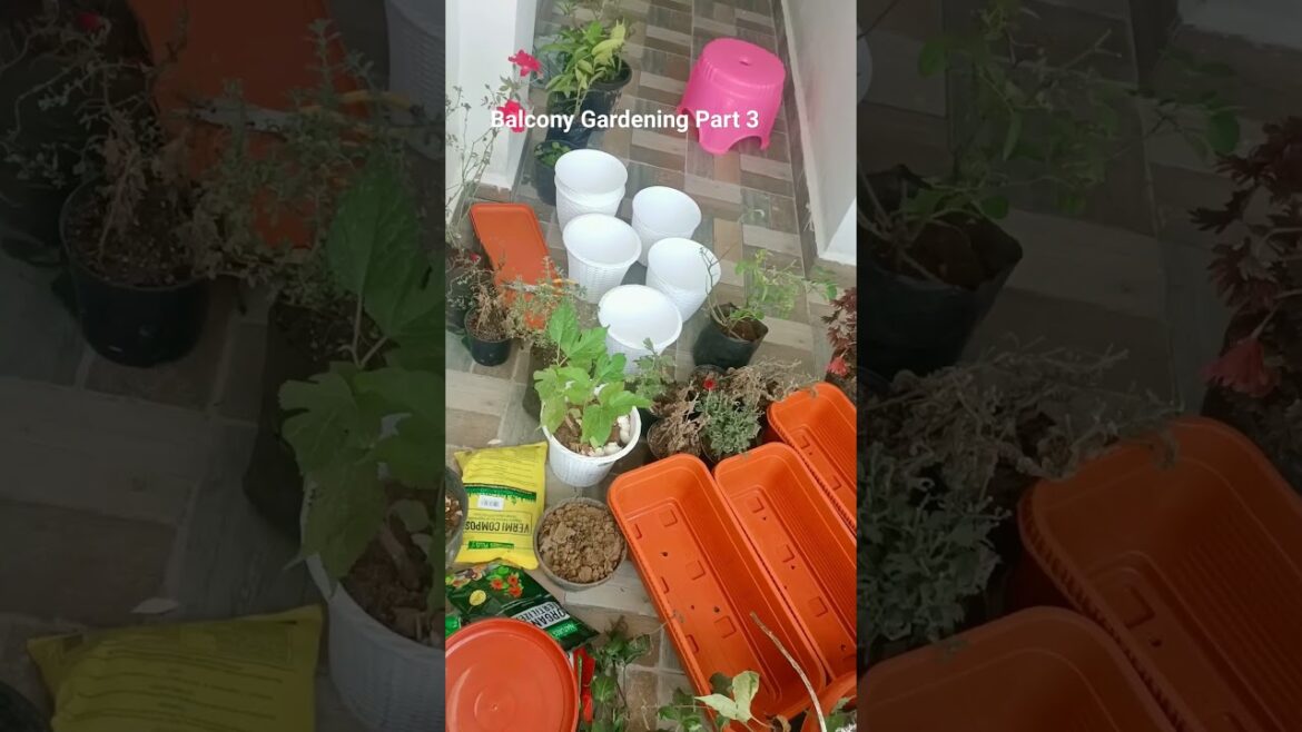 Types of pots to buy for #balconygarden | Balcony Gardening Part 3 #balconygarden