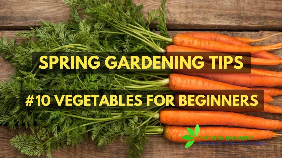Spring Gardening Tips - #10 Vegetables for Beginners