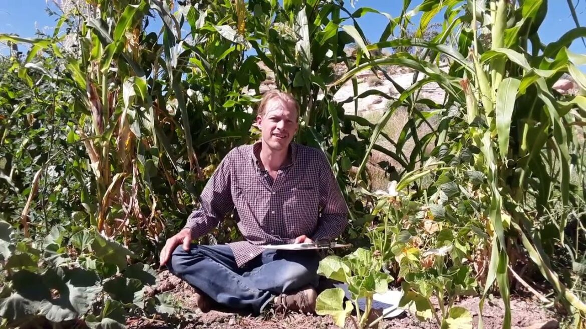 What is Landrace Gardening? How do I Breed Plants? Seed selection & landrace vs heirloom seeds.1 What is Landrace Gardening? How do I Breed Plants? Seed selection & landrace vs heirloom seeds.1