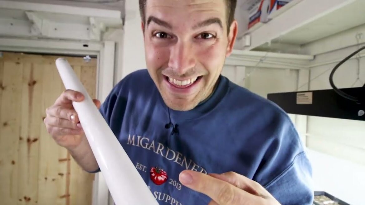 MIgardener: EVERYTHING I Wish I Knew About Growlights As A Beginning Gardener EVERYTHING I Wish I Knew About Growlights As A Beginning Gardener