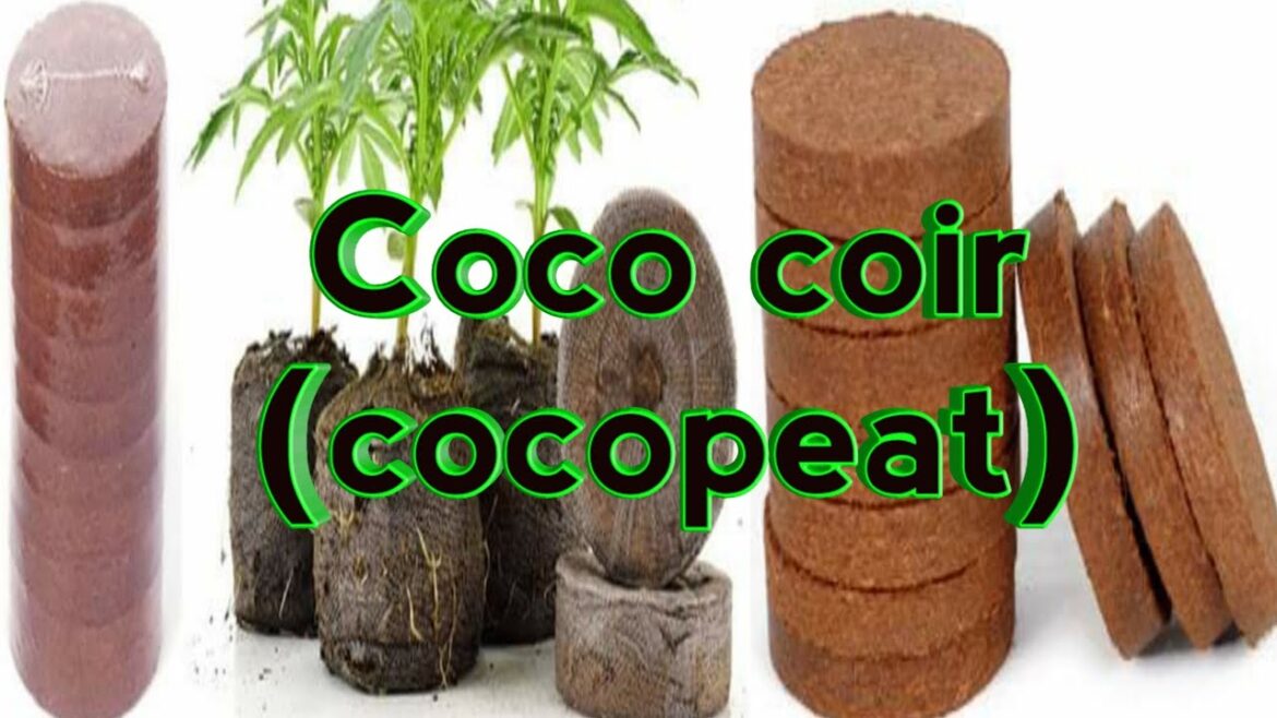 coco coir (Cocopeat) coco coir (Cocopeat)