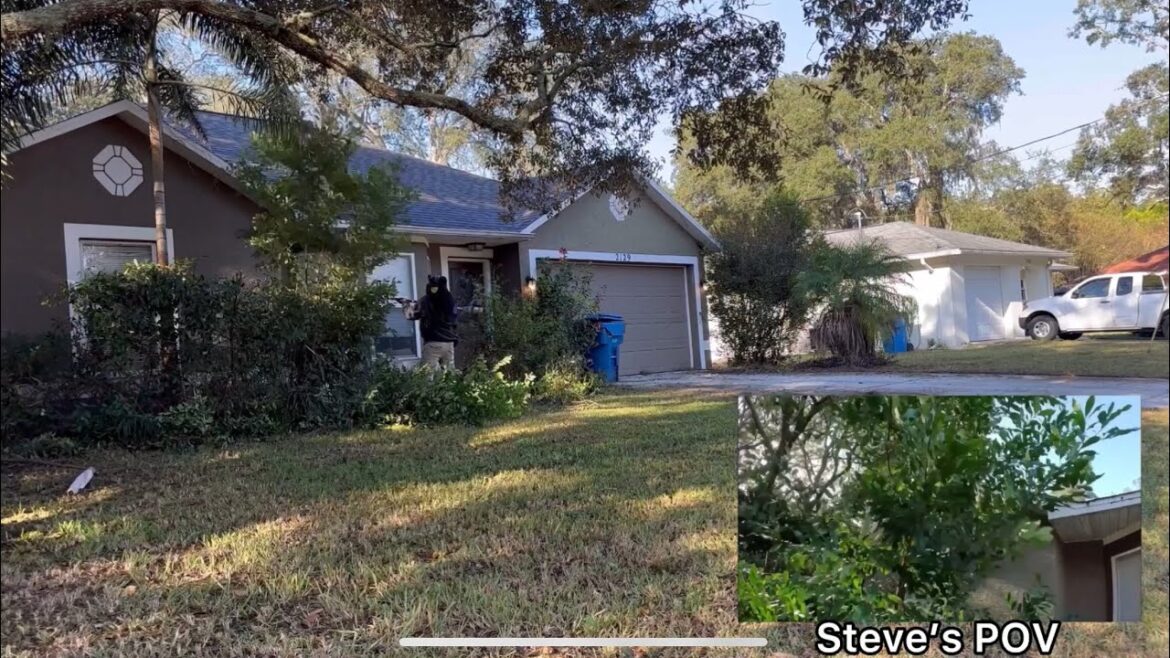 Front Yard Cleanup | Includes Steve’s Point of View While Trimming | Steve And Steven’s Lawn Care Front Yard Cleanup | Includes Steve’s Point of View While Trimming | Steve And Steven’s Lawn Care