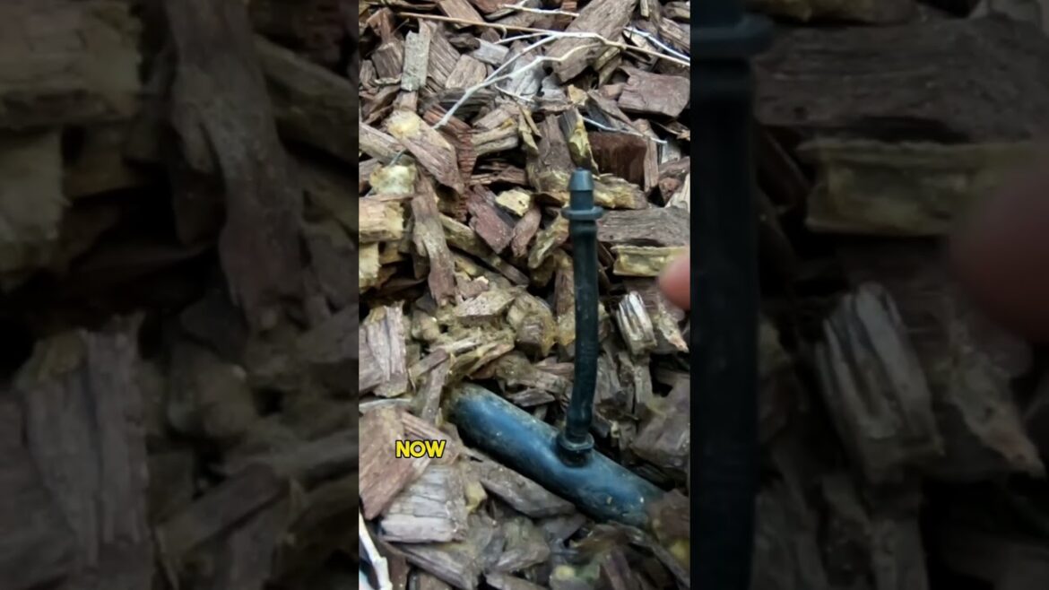 California Gardening: Drip Irrigation FAQs Answered! Part 1 🚰💧 #Shorts Drip Irrigation FAQs Answered! Part 1 🚰💧 #Shorts