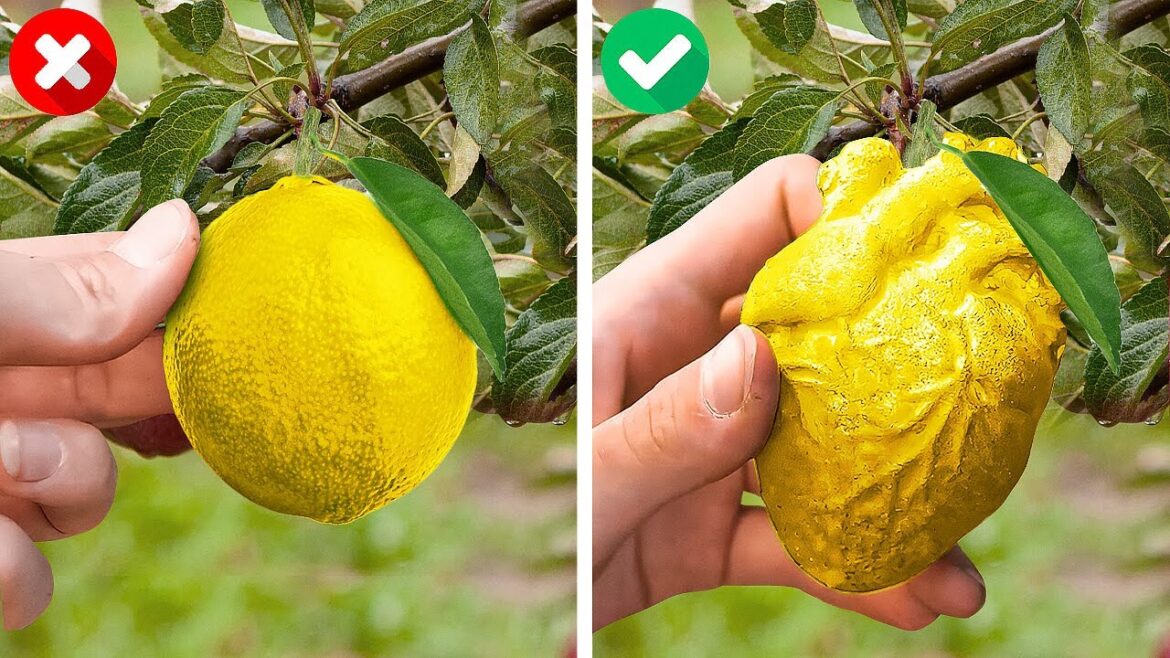 Essential Gardening Hacks for a Beautiful Garden! ๐ฟ๐ผ Essential Gardening Hacks for a Beautiful Garden! ๐ฟ๐ผ