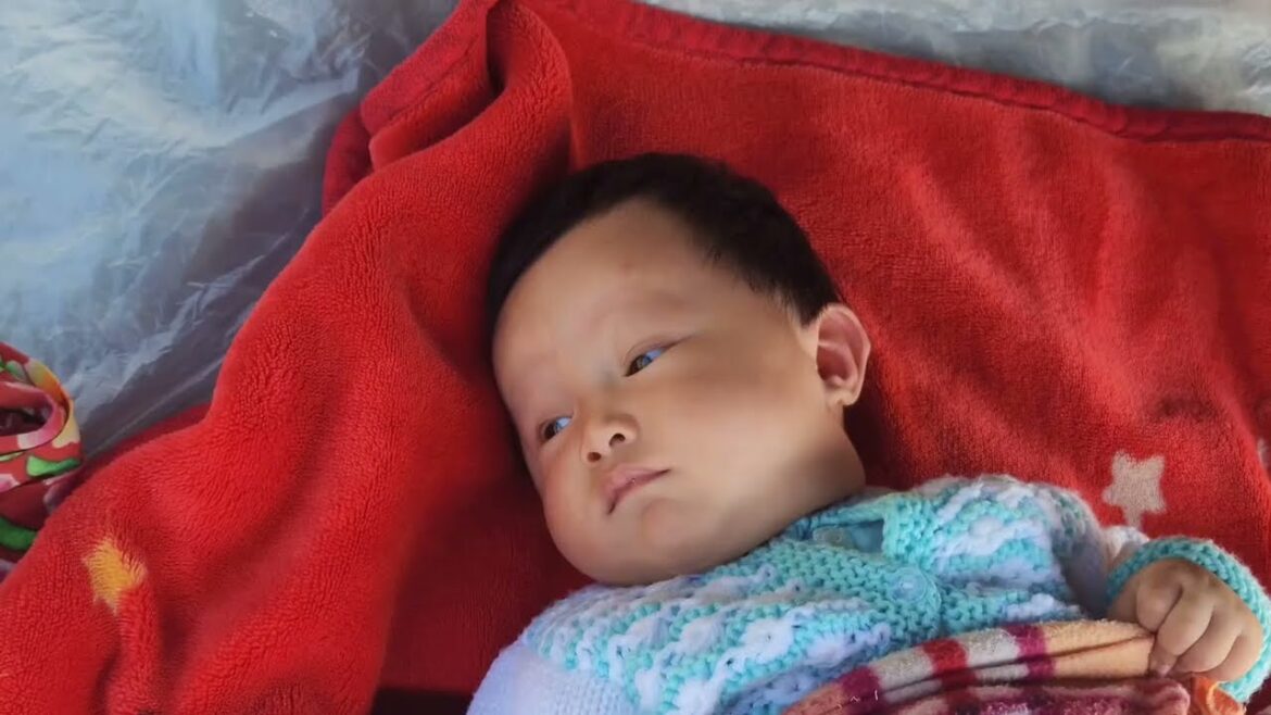 Vegetable gardening- Ma Thị Sao