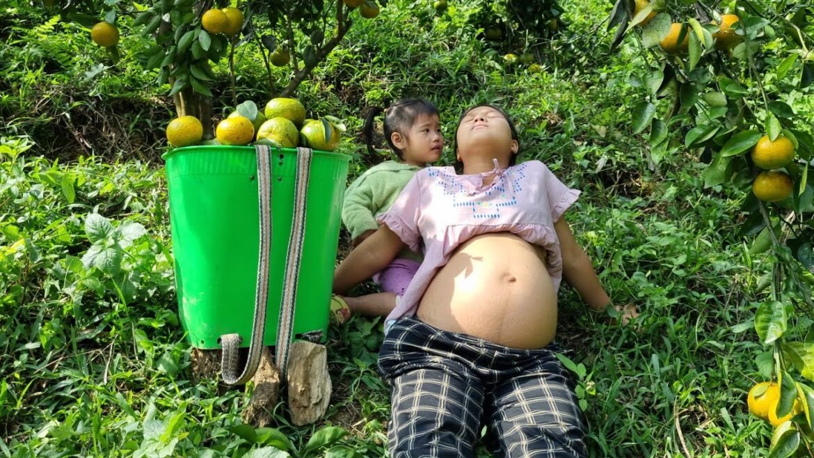 Gardening and growing vegetables to prepare for a baby - harvesting oranges to sell at the market