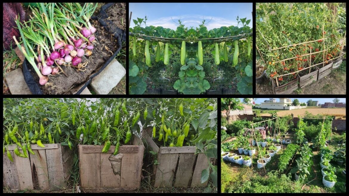 Vegetable gardening ideas for small spaces