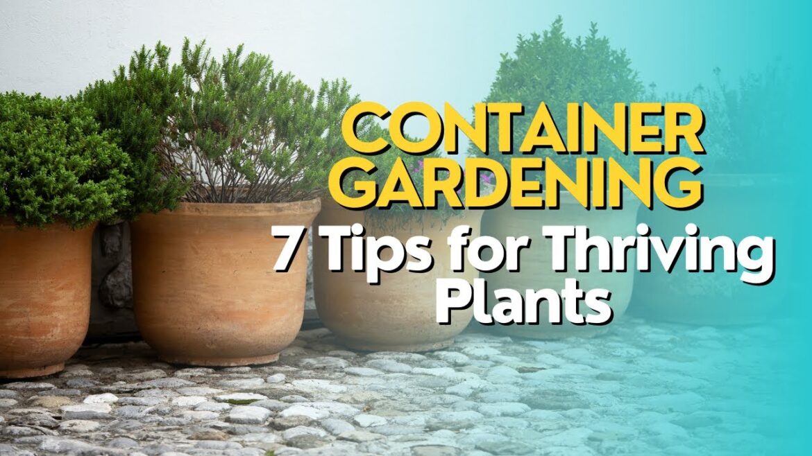 Container Gardening: 7 Tips for Thriving Plants