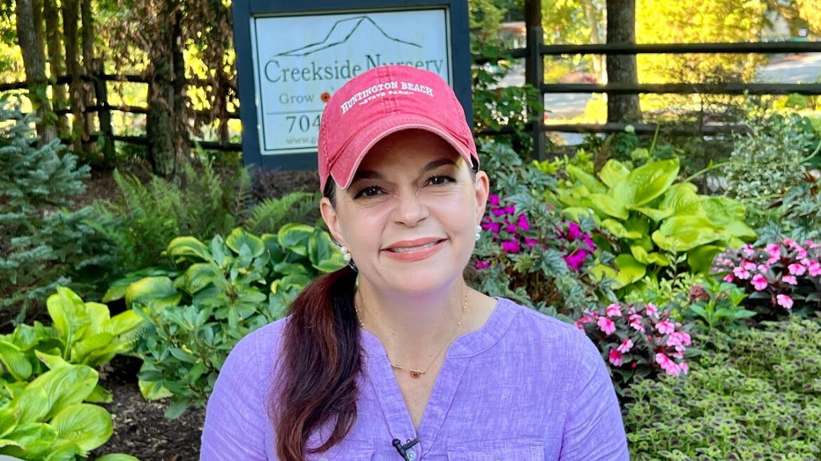 August Shade Garden Tour | Gardening with Creekside