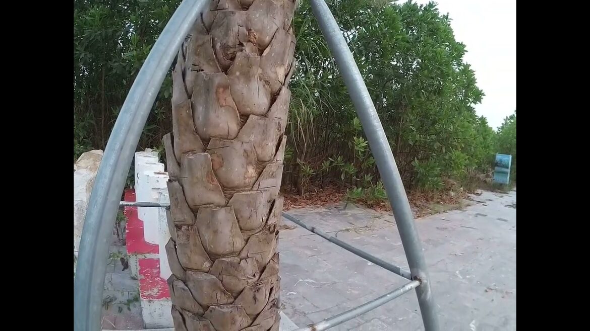 Gardening Trends 2023   What's Hot in Horticulture