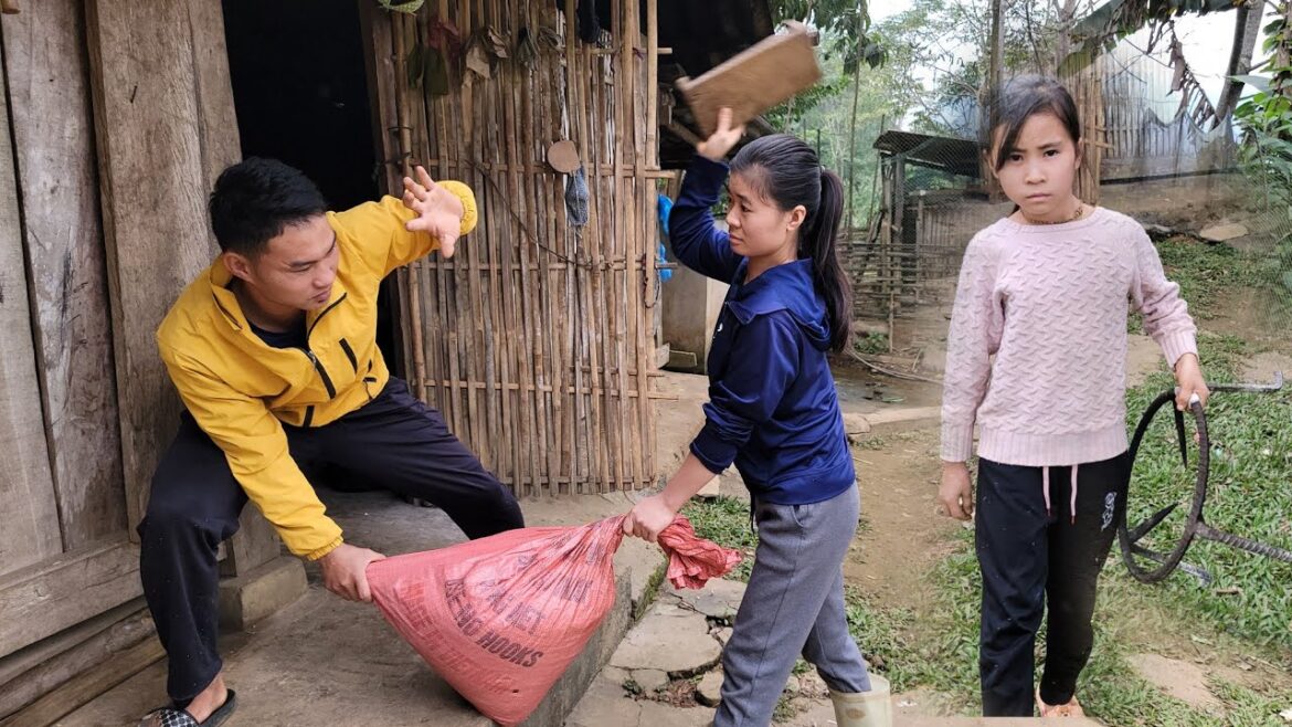 vegetable gardening – go home, get rice to cook with your children@lythilong vegetable gardening - go home, get rice to cook with your children@lythilong