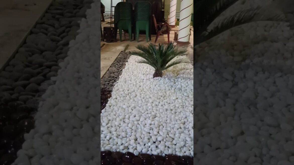 How to Landscape your Home | Gardening Ideas | Green Formula landscapers