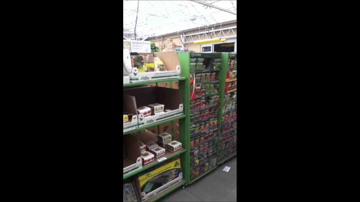 Lazy Arizona Organic Gardener: seeds in the local plant nursery