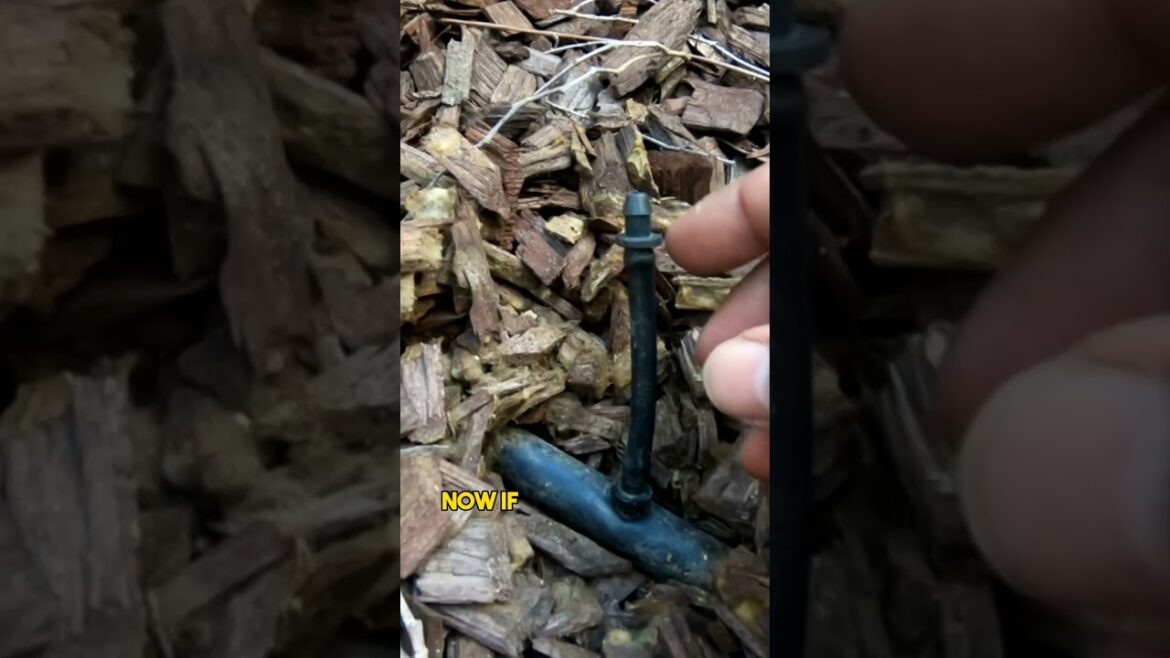 California Gardening: Drip Irrigation Expert Tips! Part 3 πΌπ¦ #Shorts Drip Irrigation Expert Tips! Part 3 πΌπ¦ #Shorts