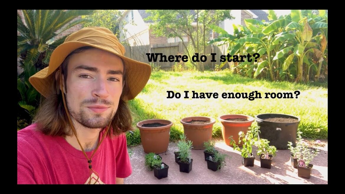How to make your own Herb Garden (Beginner Friendly) How to make your own Herb Garden (Beginner Friendly)