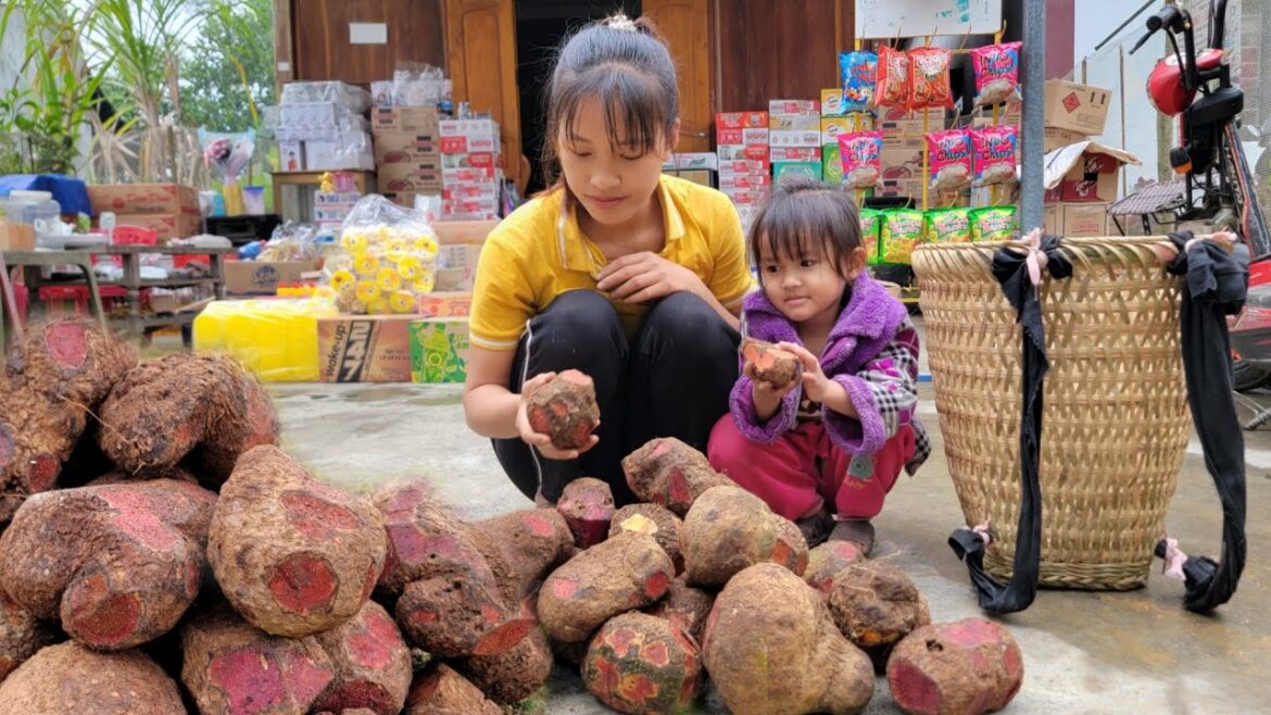 Single Mother: Harvesting brown tubers to sell – Vegetable gardening – Daily life Single Mother: Harvesting brown tubers to sell - Vegetable gardening - Daily life