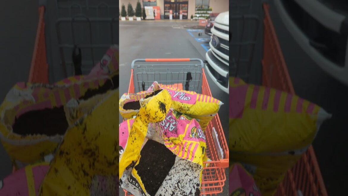 Home Depot Half-Price Gardening: Unearth Savings with Open Bags of Dirt at Home Depot Home Depot Half-Price Gardening: Unearth Savings with Open Bags of Dirt at Home Depot