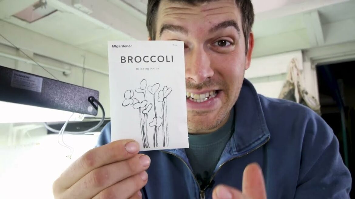 MIgardener: The Quickest And Simplest Way To Grow Food At Home! The Quickest And Simplest Way To Grow Food At Home!