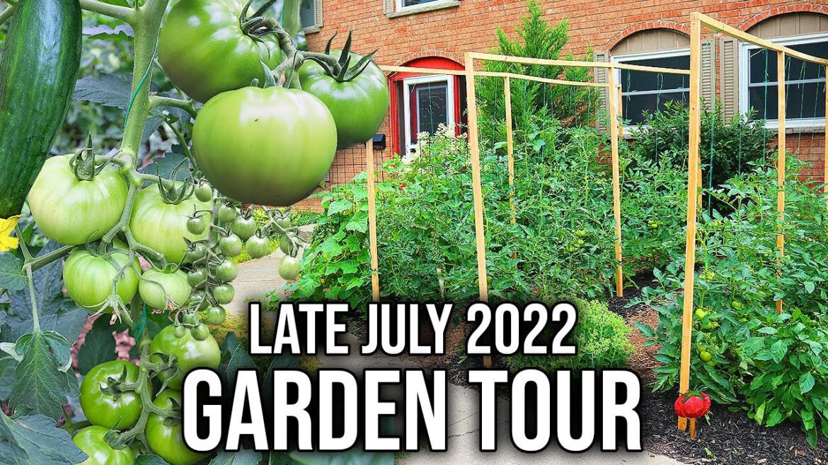Urban Garden Tour, Growing Vegetables in the Front Yard | Late July, 2022