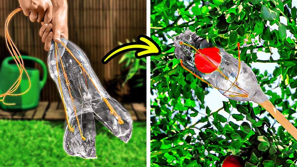 Smart Gardening Tips And Ideas That Actually Work Smart Gardening Tips And Ideas That Actually Work