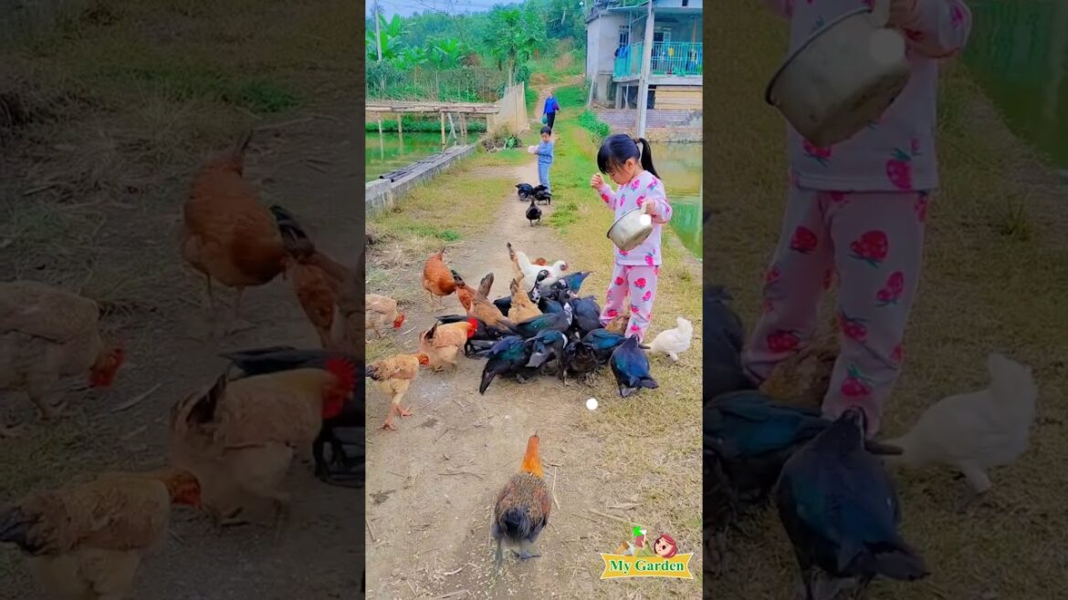 I love children and birds I My Garden #tips #trending #birds #life