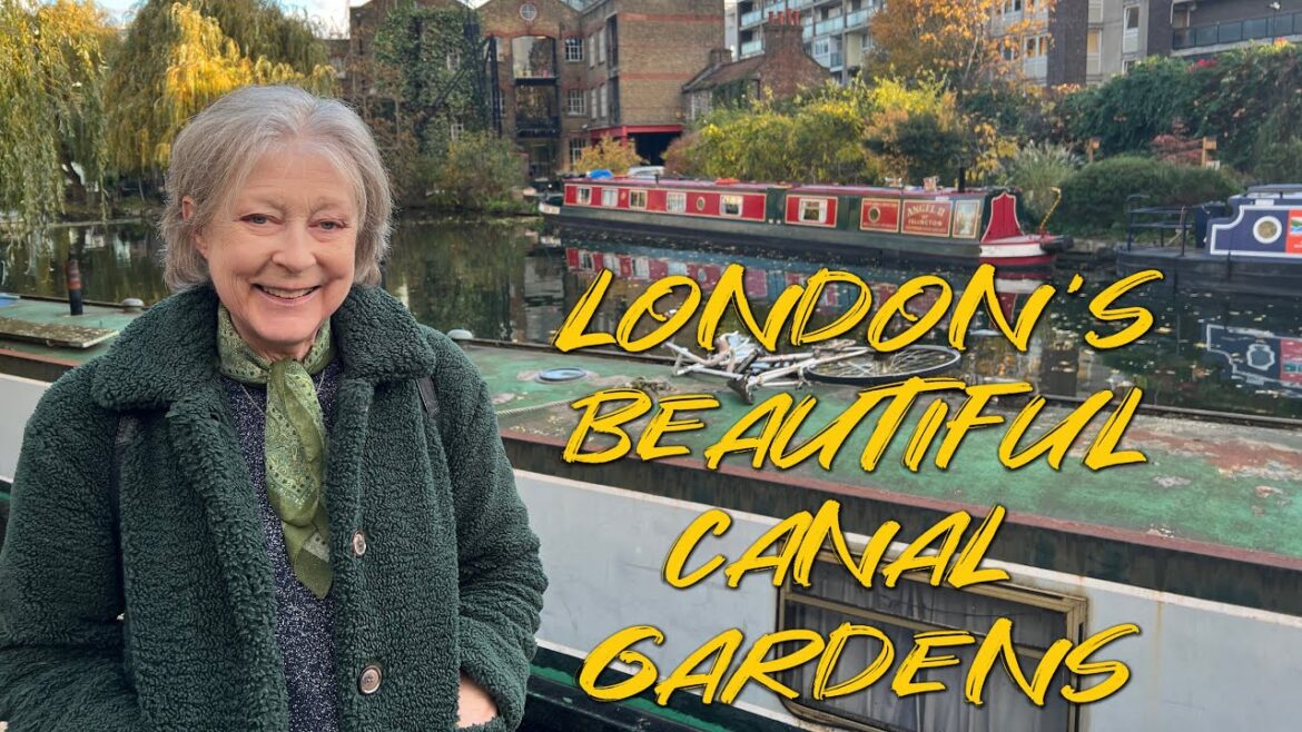 Manda’s Gardening- Canal Tour 伦敦运河上美丽的花朵 Manda’s Gardening- Canal Tour 伦敦运河上美丽的花朵