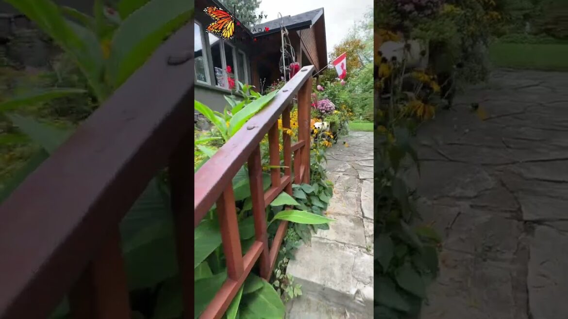 Front Yard Garden Walk In September 2023 #garden #fall