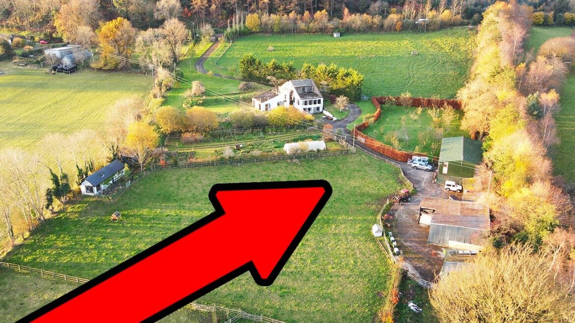 I visited a small holding with 300 beehives, cows, pigs, chickens, a goat and a vegetable garden I visited a small holding with 300 beehives, cows, pigs, chickens, a goat and a vegetable garden