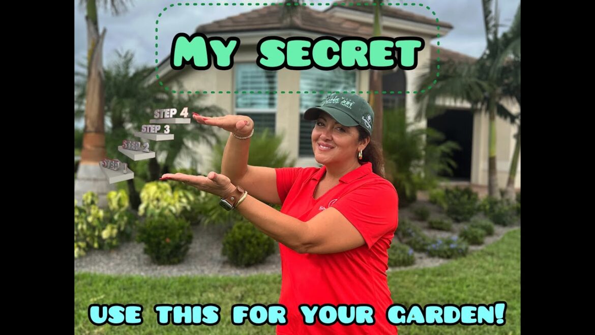 The SECRET to creating your own landscape design 🌺🌴🌸THE STEPS! #floridalandscaping