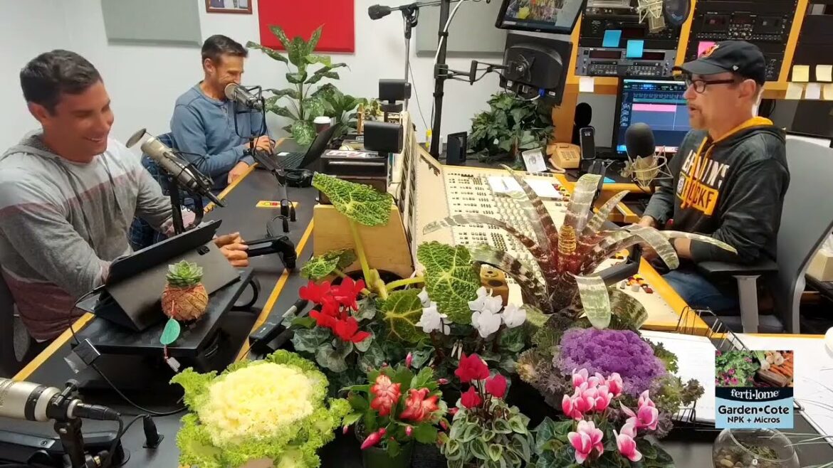 Cyclamen Flowering Plants & Gardening Questions - Garden America Radio Show [12.9.23]