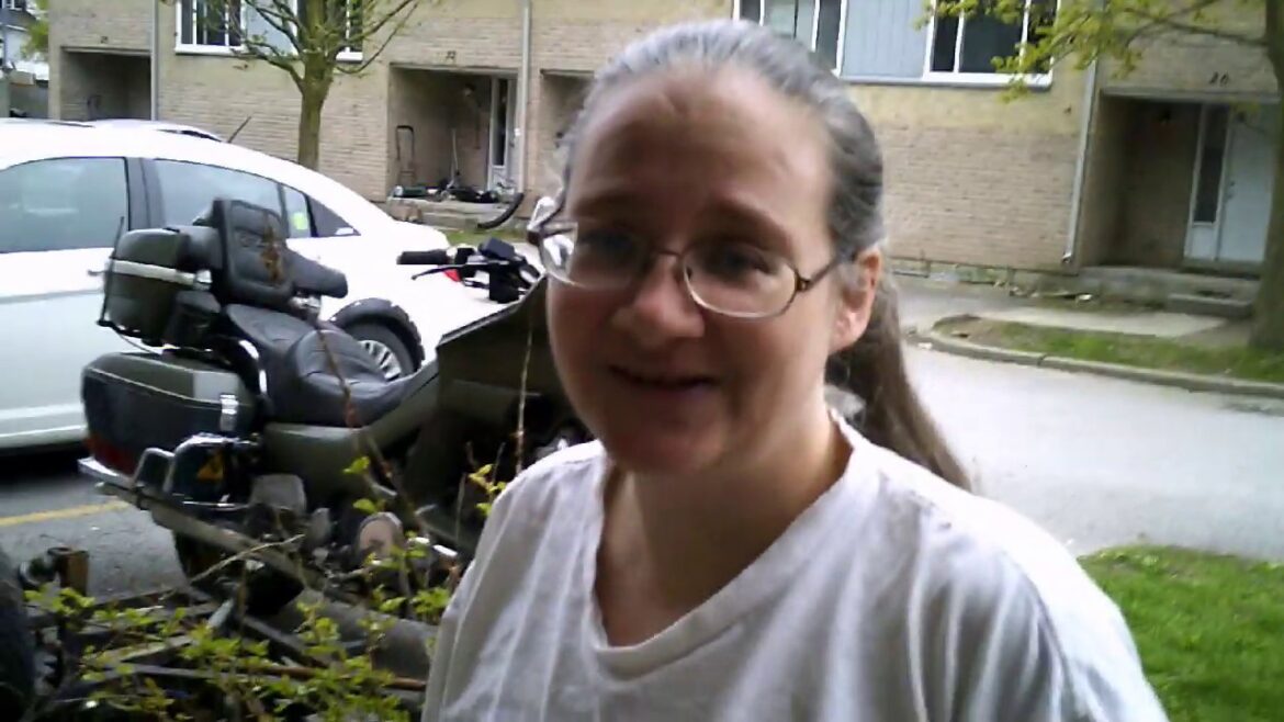 Container Garden – the beginning Container Garden - the beginning