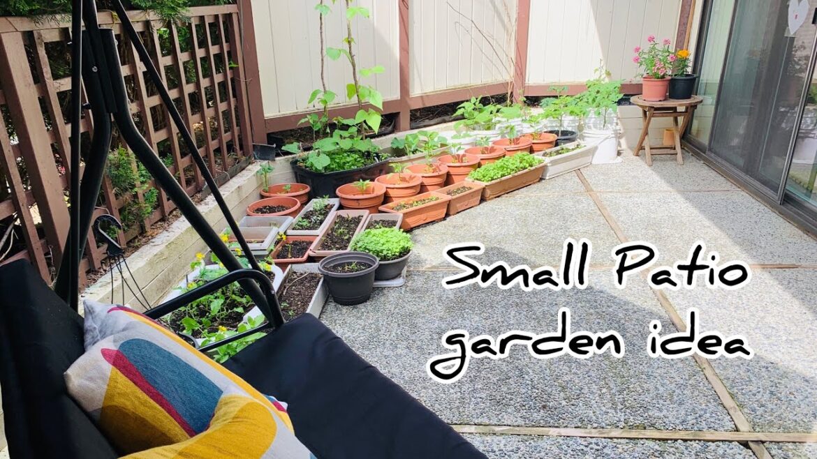 How to grow vegetables in containers/Patio Garden / Container Garden / garden idea / balcony garden How to grow vegetables in containers/Patio Garden / Container Garden / garden idea / balcony garden