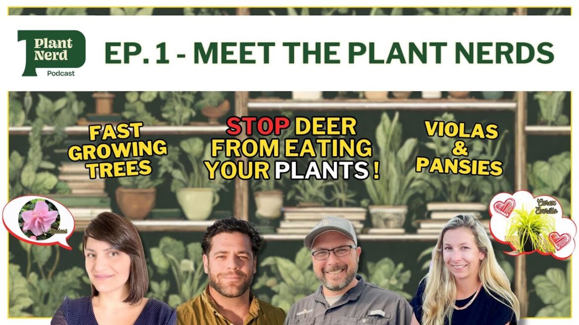 Plant Nerd Podcast – Ep.101 Low Maintenance Plants, Fast Growing Trees, Deer Repellent Plants, Q&A+ Plant Nerd Podcast - Ep.101 Low Maintenance Plants, Fast Growing Trees, Deer Repellent Plants, Q&A+
