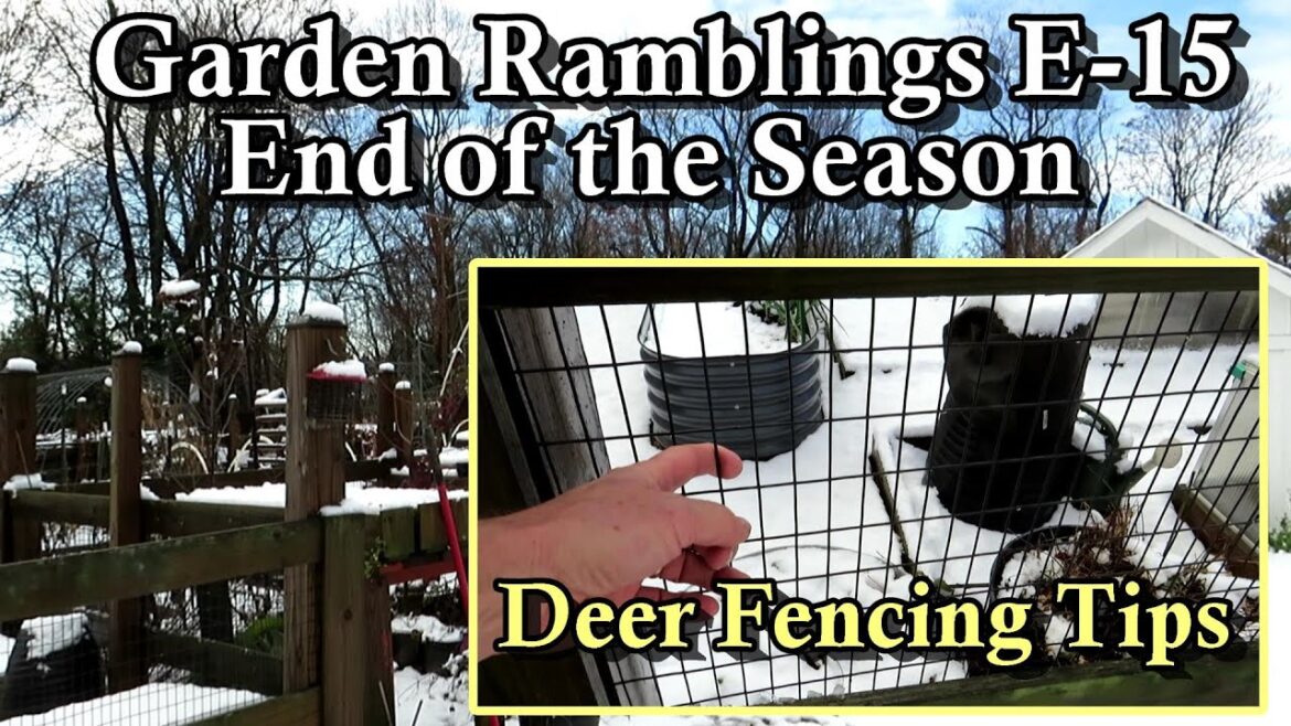 Deer & Rabbit Fencing Tips, End of the Season, Greenhouse Growing: Garden Ramblings Tips & Tour E-15