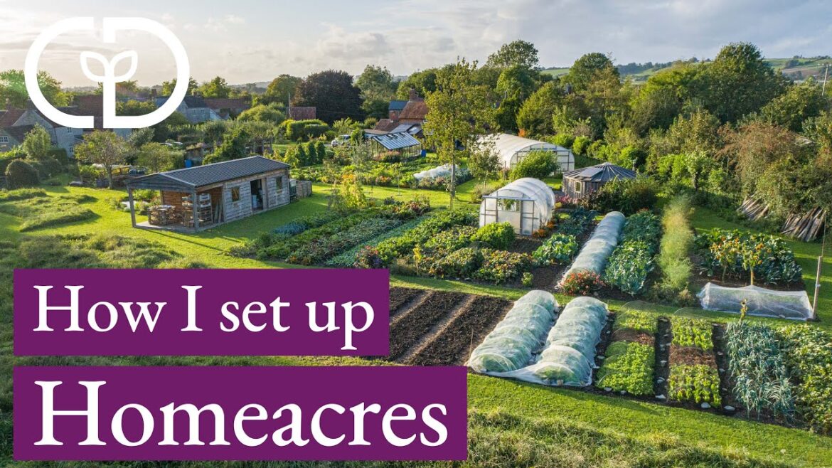 Garden Design and Sizes of Beds and Paths to Maximise Use of Space