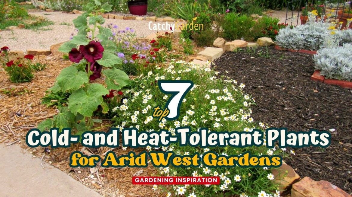 Top 7 Cold and Heat Tolerant Plants for Arid West Gardens 🌸🌻🍃