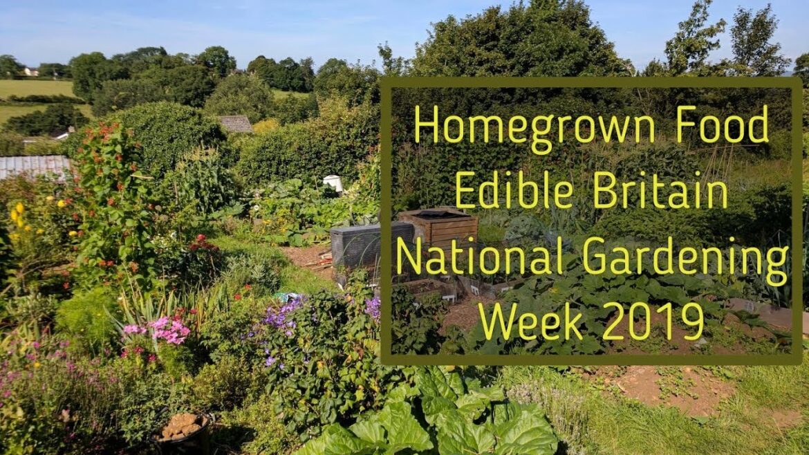 Homegrown Food  Edible Britain  National Gardening Week 2019