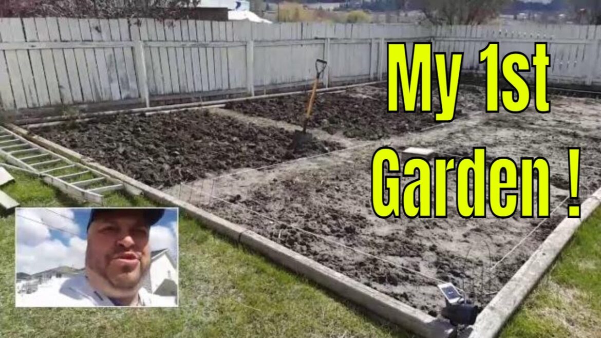 HELP - BACK YARD IDEAS ?  - #leavethecity  #mikemartins #garden