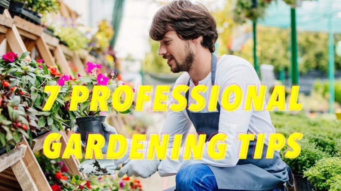 7 Professional Gardening Tips