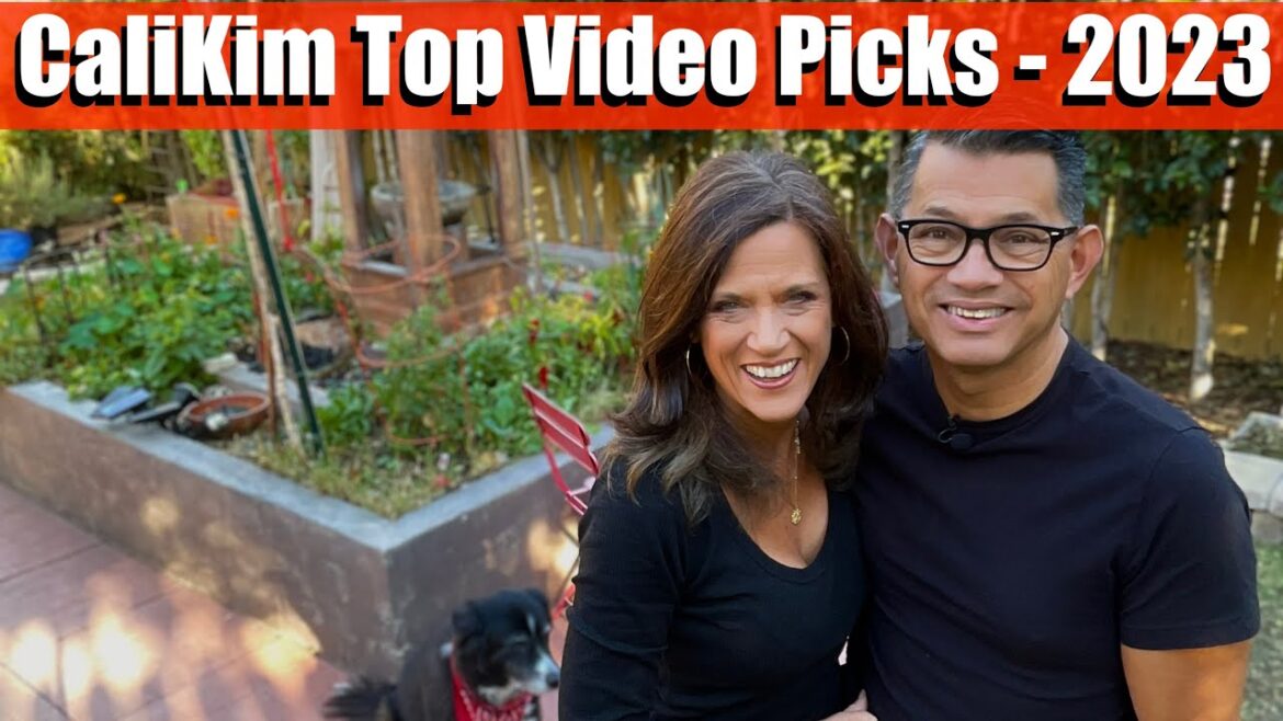 CaliKim Top Video Picks - 2023