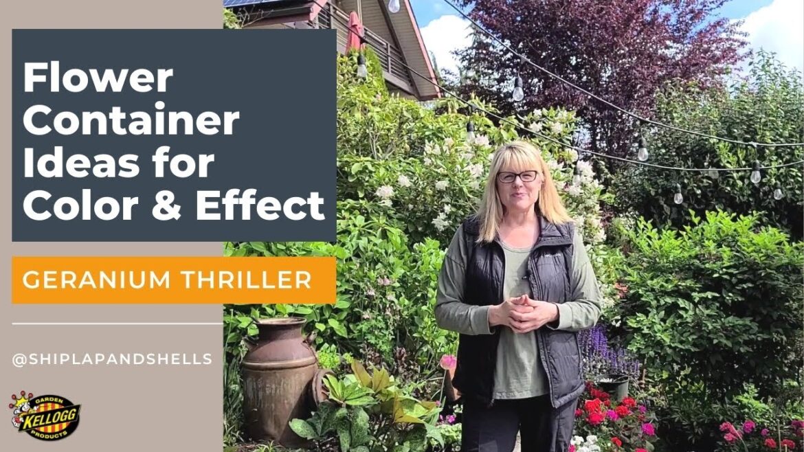 Flower Container Ideas for Color & Effect | Geranium Thriller Flower Container Ideas for Color & Effect | Geranium Thriller
