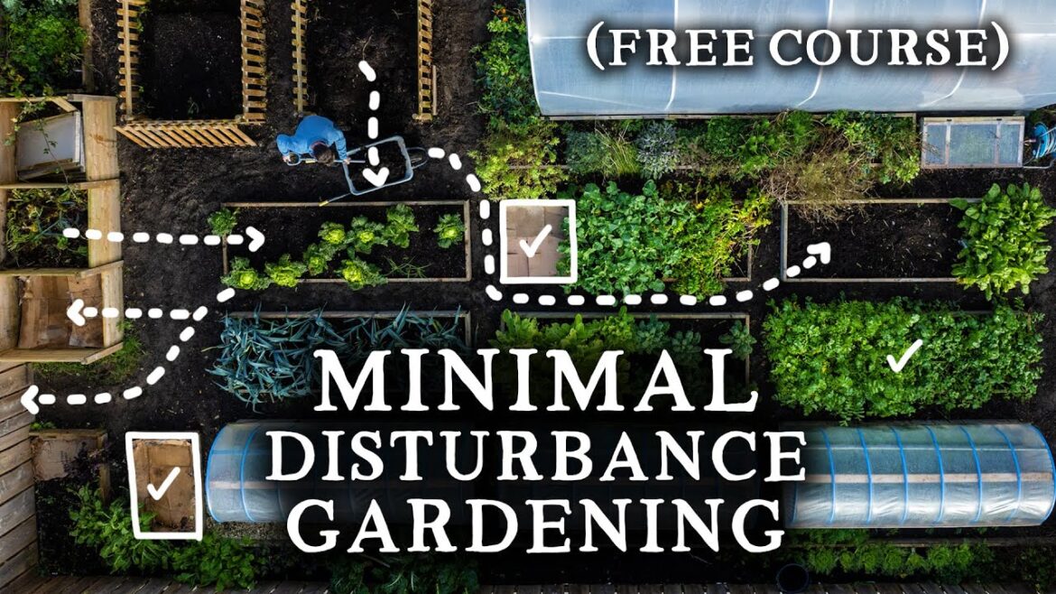 Huw Richards: Minimal Disturbance Gardening | A Pragmatic Approach for Self-Sufficiency Minimal Disturbance Gardening | A Pragmatic Approach for Self-Sufficiency