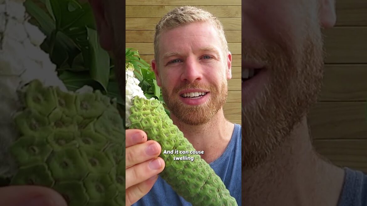 What makes this delicious fruit dangerous? - Monstera deliciosa