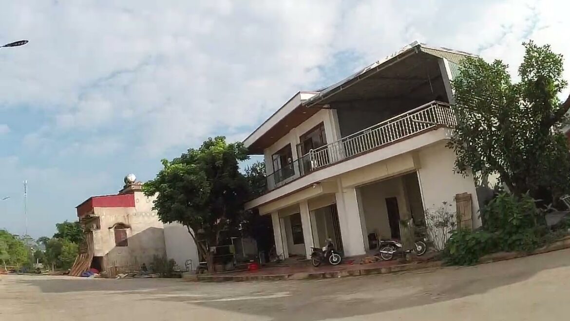 Ride into Spring    Essential Gardening Tips for a Flourishing Season